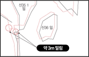약 3m 밀림